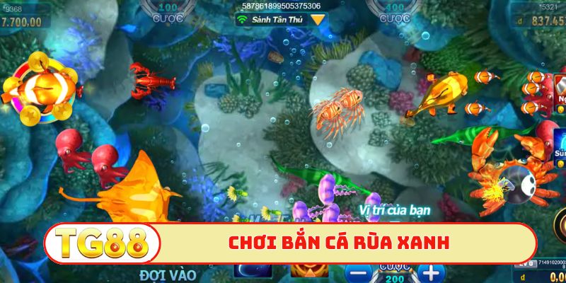 Bắn cá rùa xanh